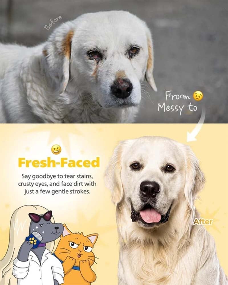 ✨2026 Spring special offer 66% off💥🐾Easy Facial Comb | No More Tear Stains or Eye Gunk