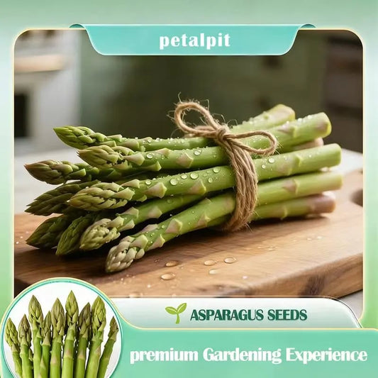 Memorial Day Sale 58% OFF❤️🌿Four Seasons Asparagus Mary Washington Seeds – Perennial, Tender, Nutrient